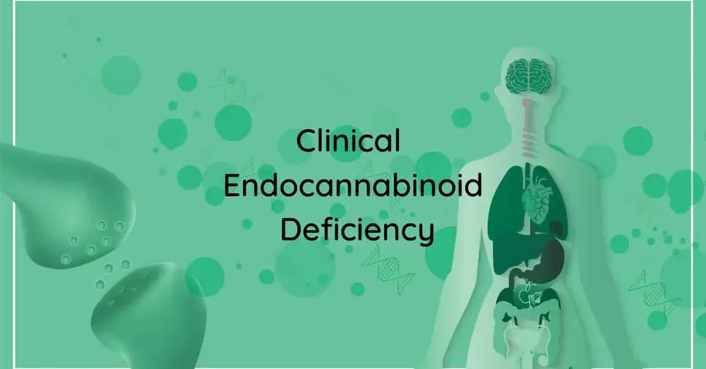 Endocannabinoid Deficiency