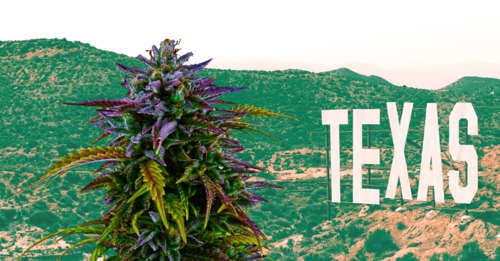 Understanding Texas CBD Laws