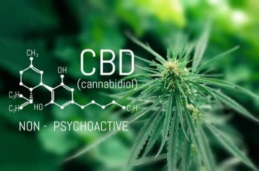 What is CBD?