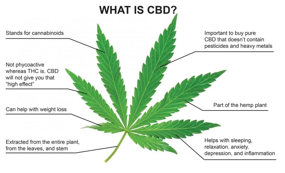 What is CBD?