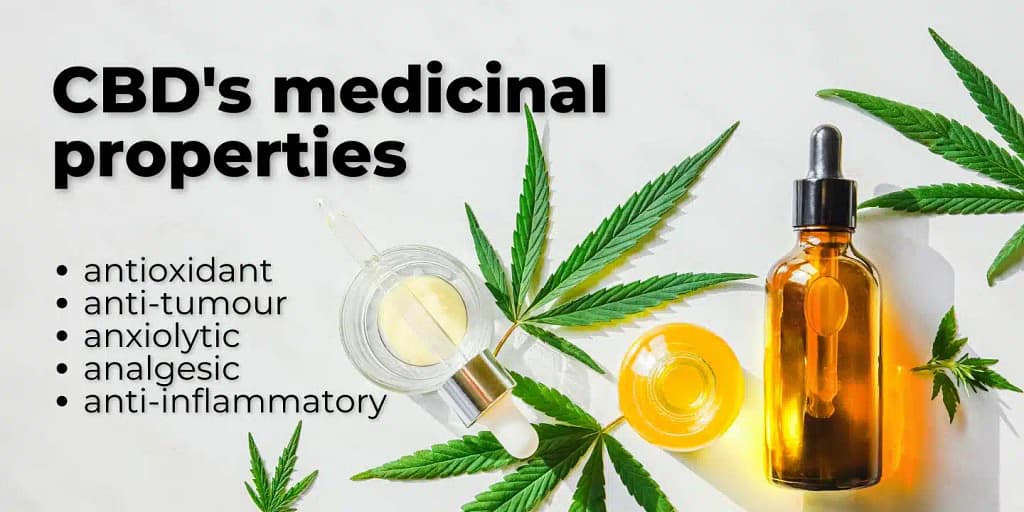 What is CBD and Its Properties?