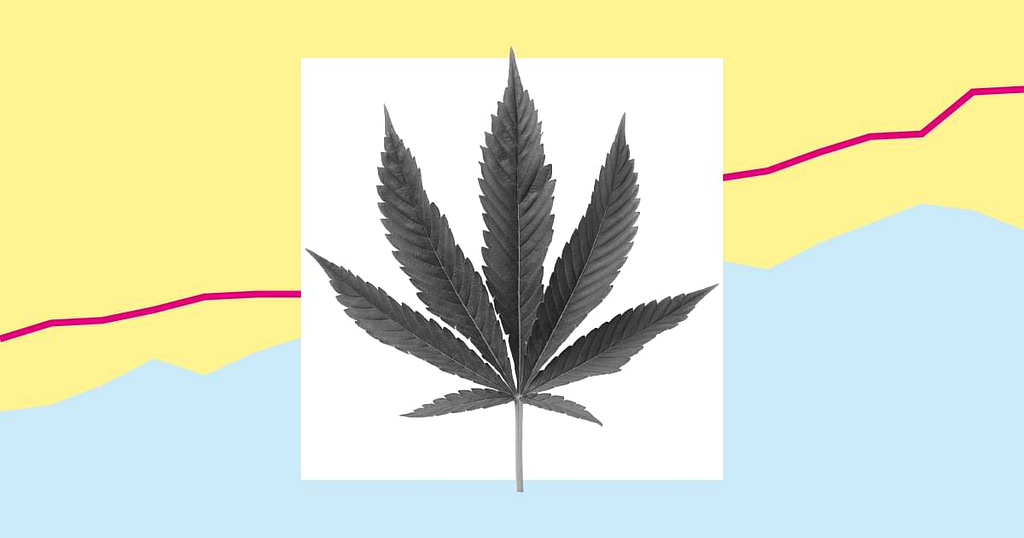 Historical Context of South Carolina marijuana laws