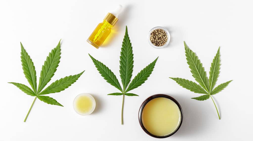 What is CBD and Its Source?