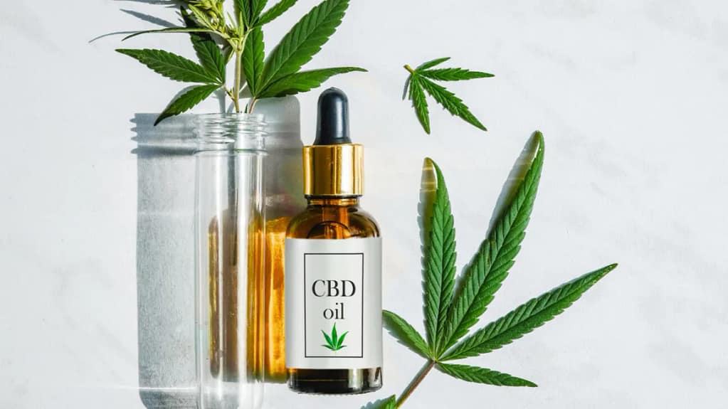 What is CBD Oil?