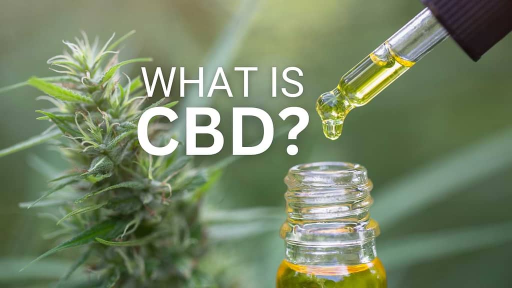 What is CBD?