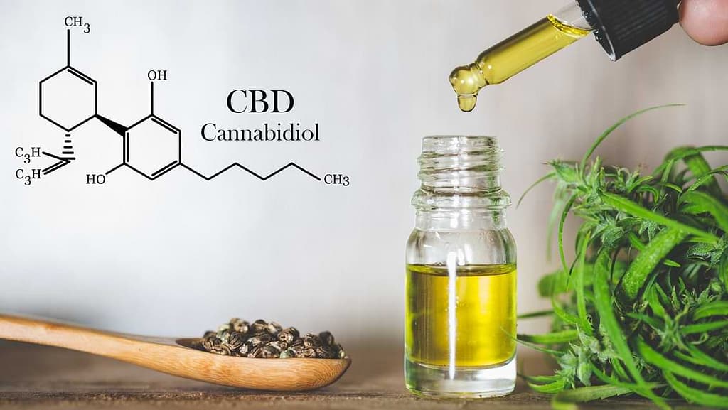 Understanding CBD