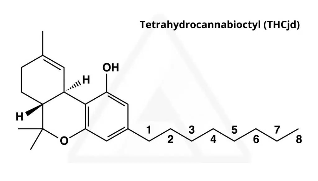 What is THCjd? 