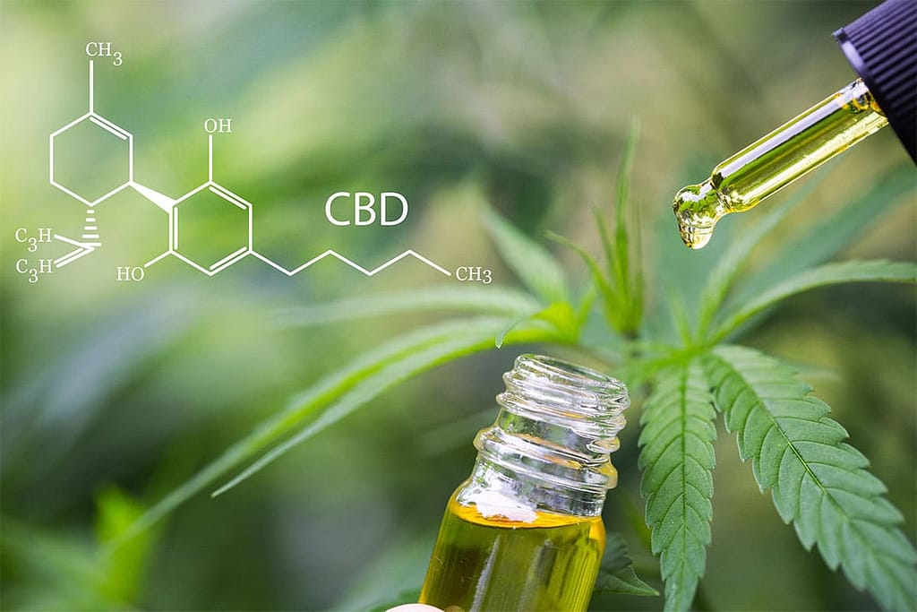 The Science Behind CBD Dosage