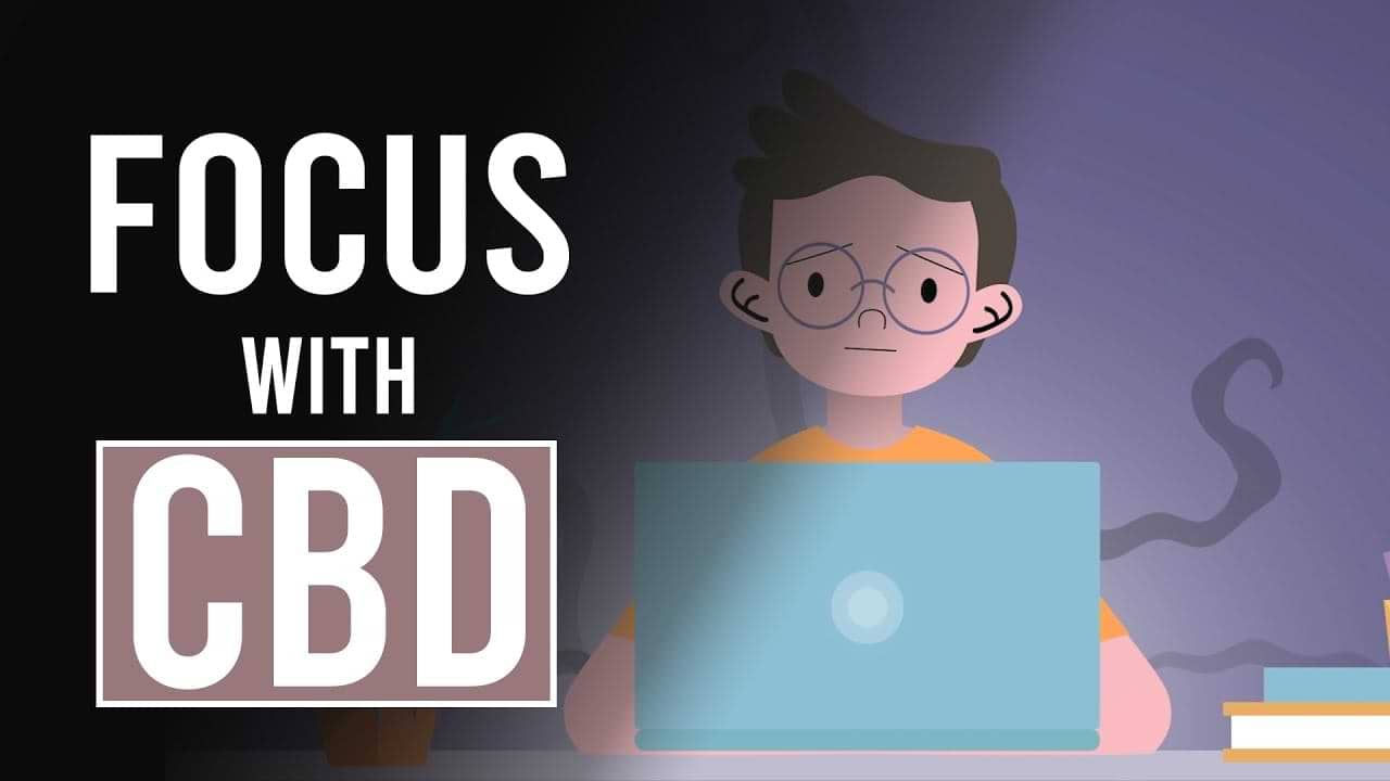 CBD Gummies for Focus