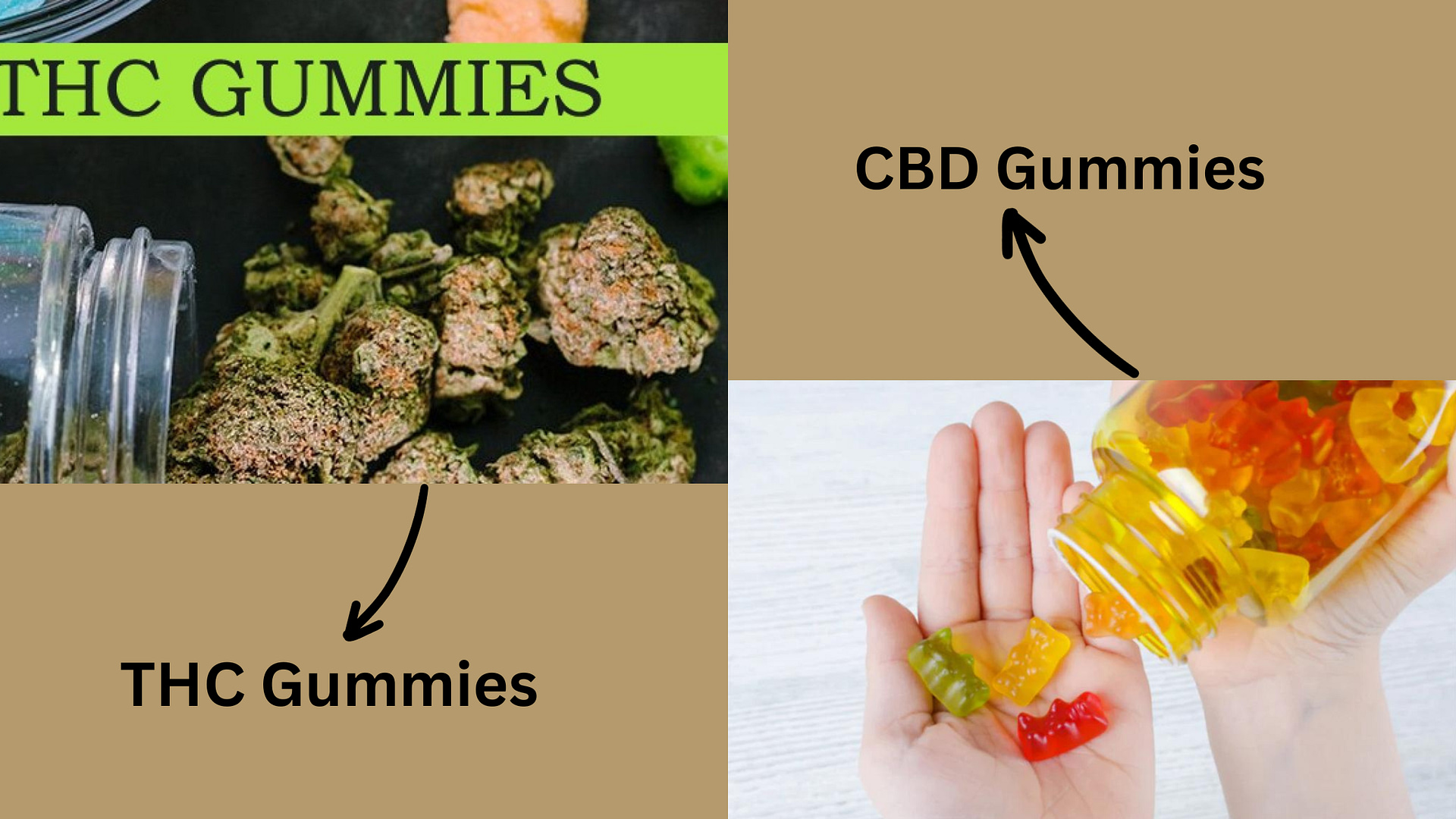 CBD Gummies Compared To THC Gummies