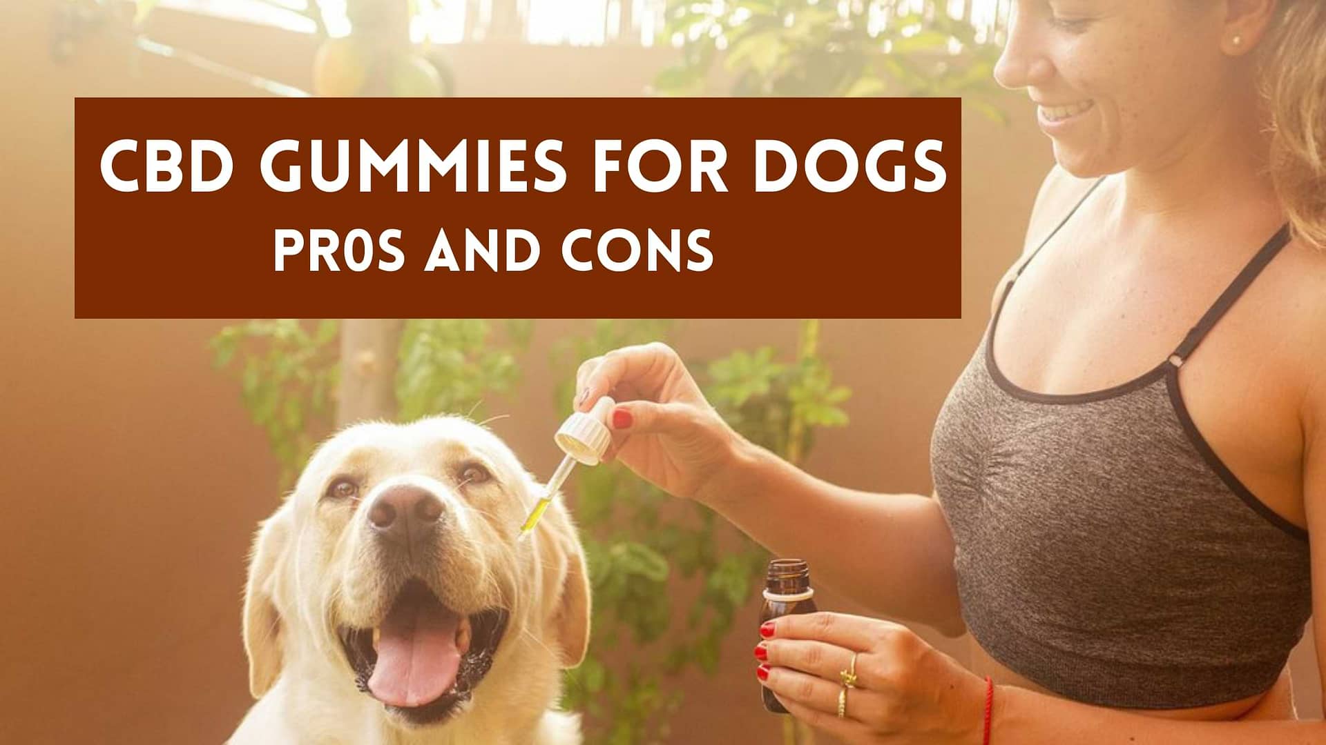 CBD Gummies For Dogs