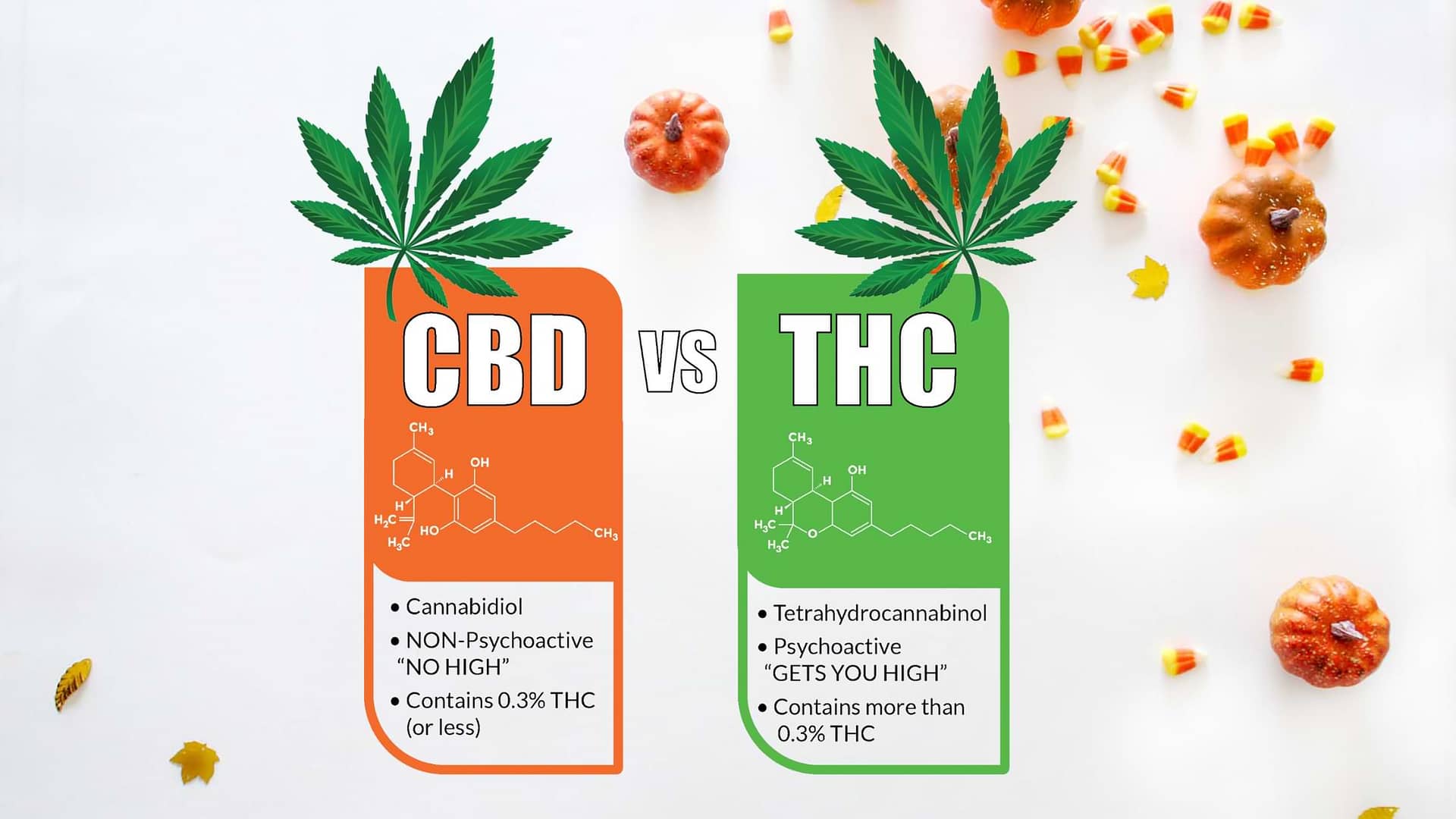 CBD vs THC Gummies: Understanding the Key Differences