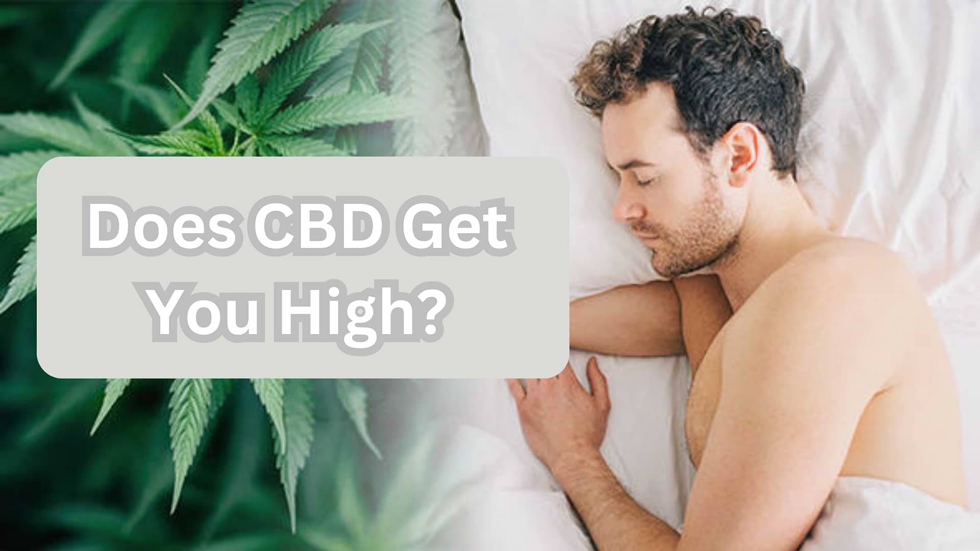 Does CBD Get You High?