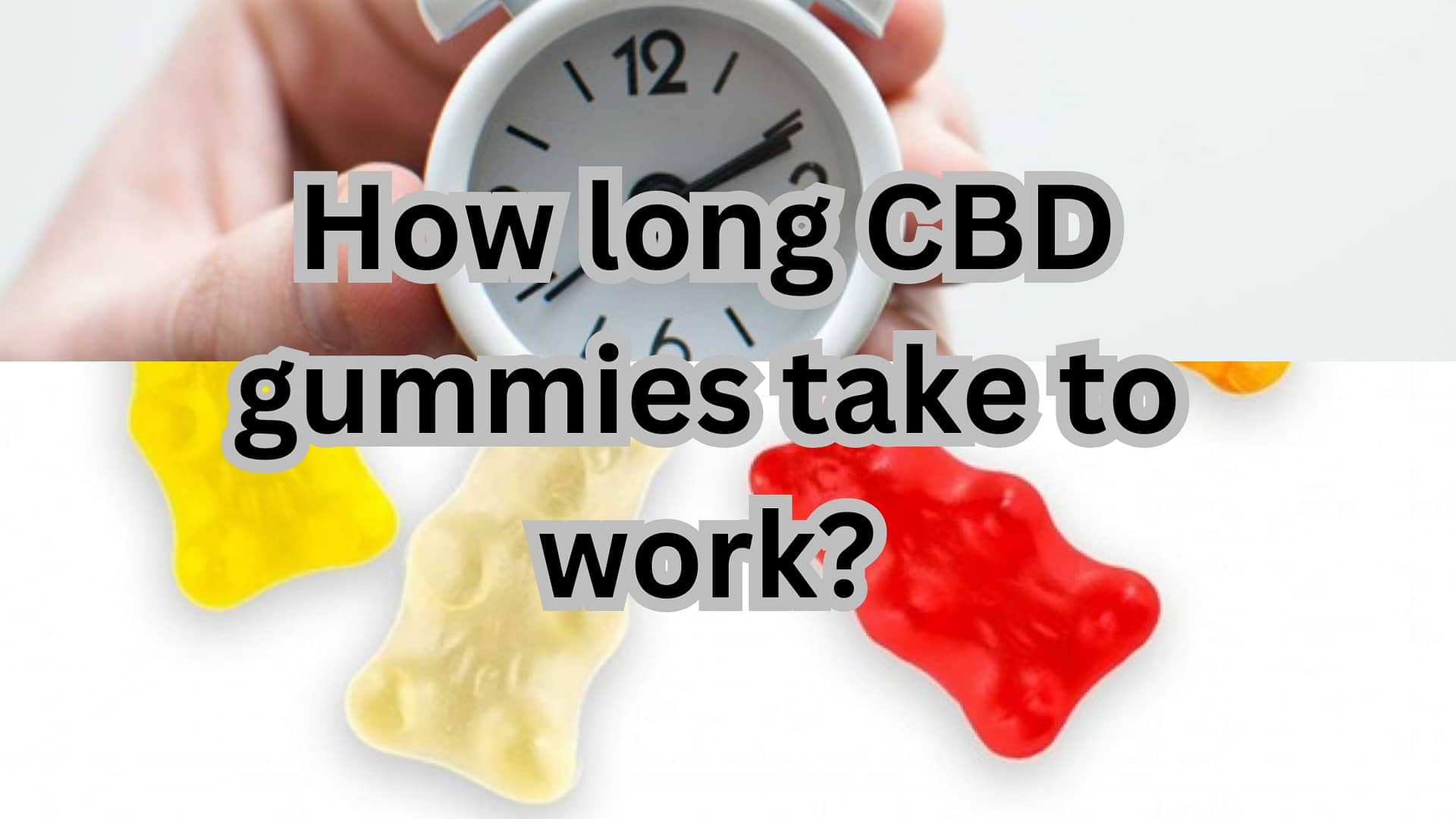 How Long Does It Take for CBD Gummies to Work: