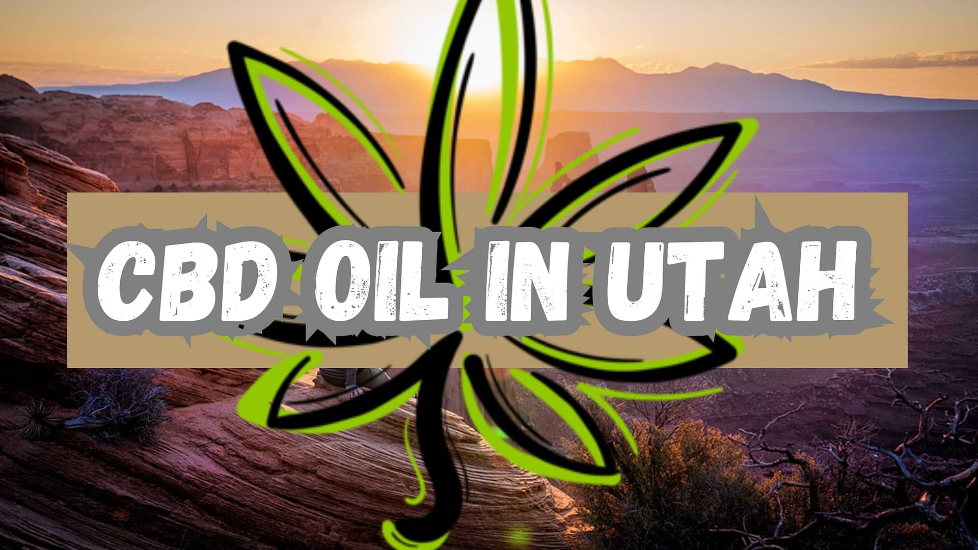 CBD Oil in Utah