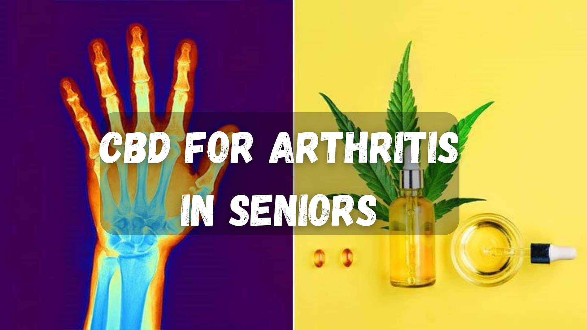 CBD for Arthritis in Seniors