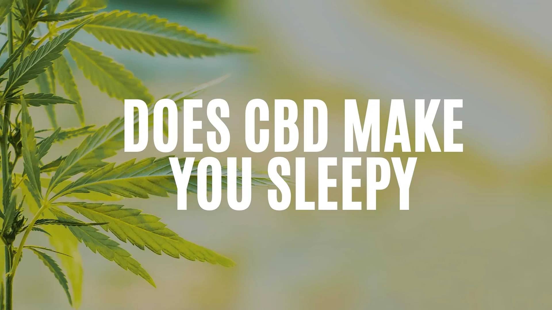 Does CBD make you sleepy?