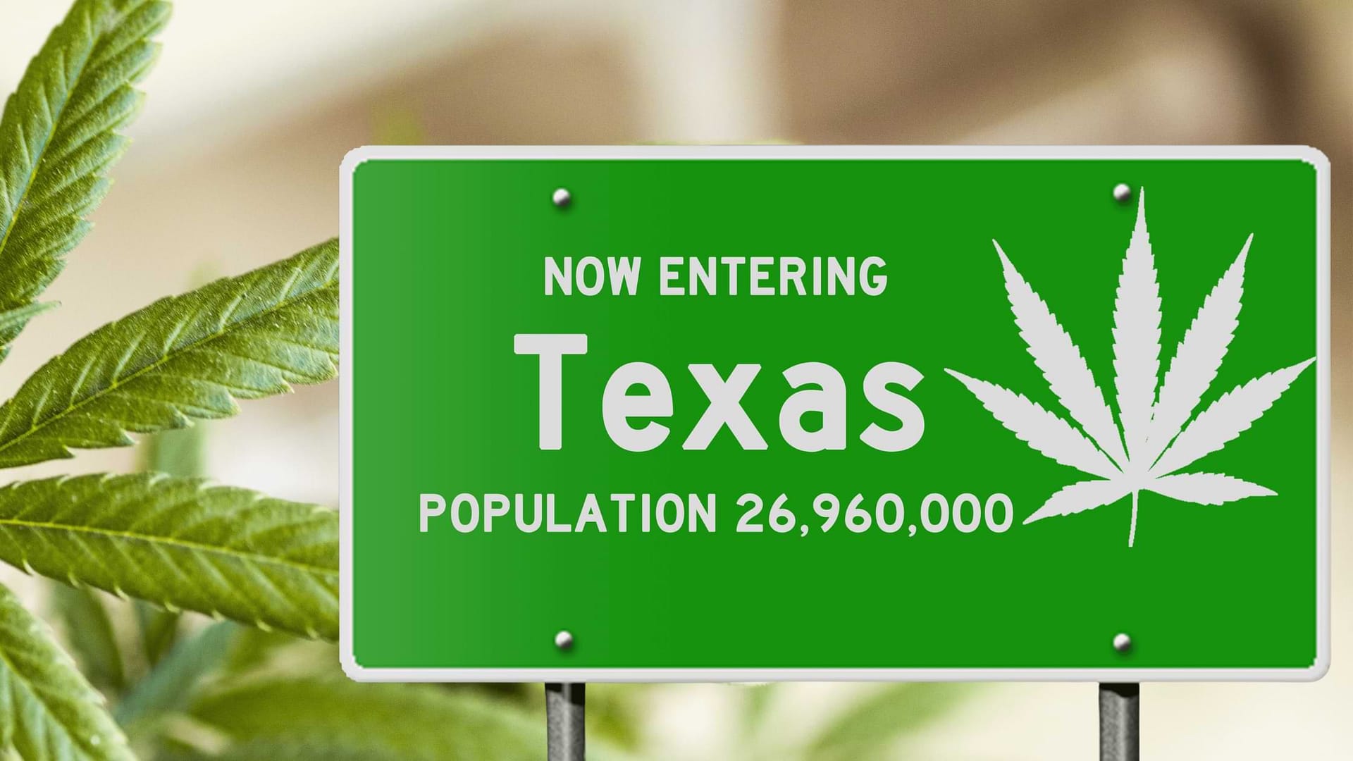 Texas marijuana laws