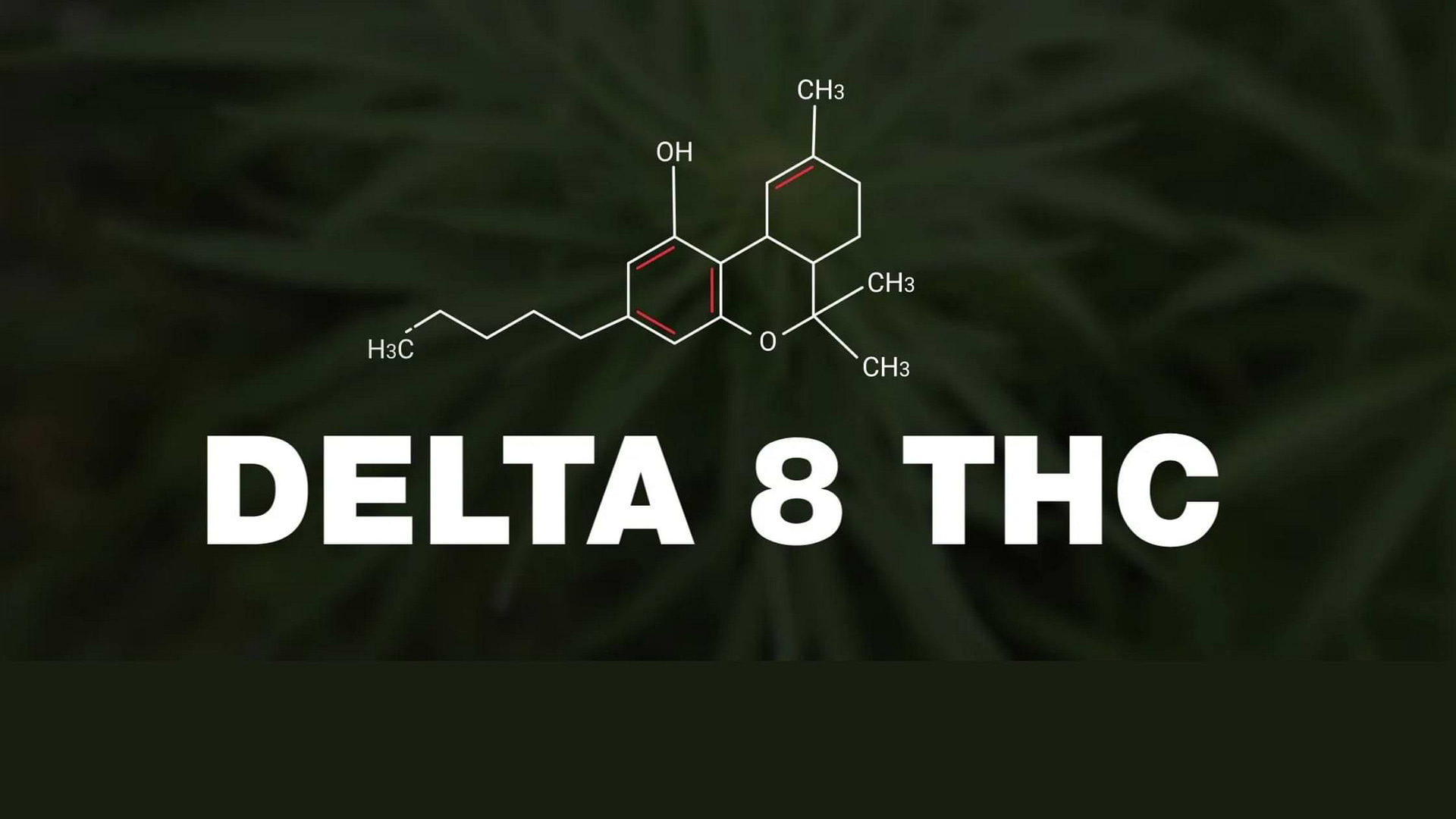 What is Delta 8 THC?