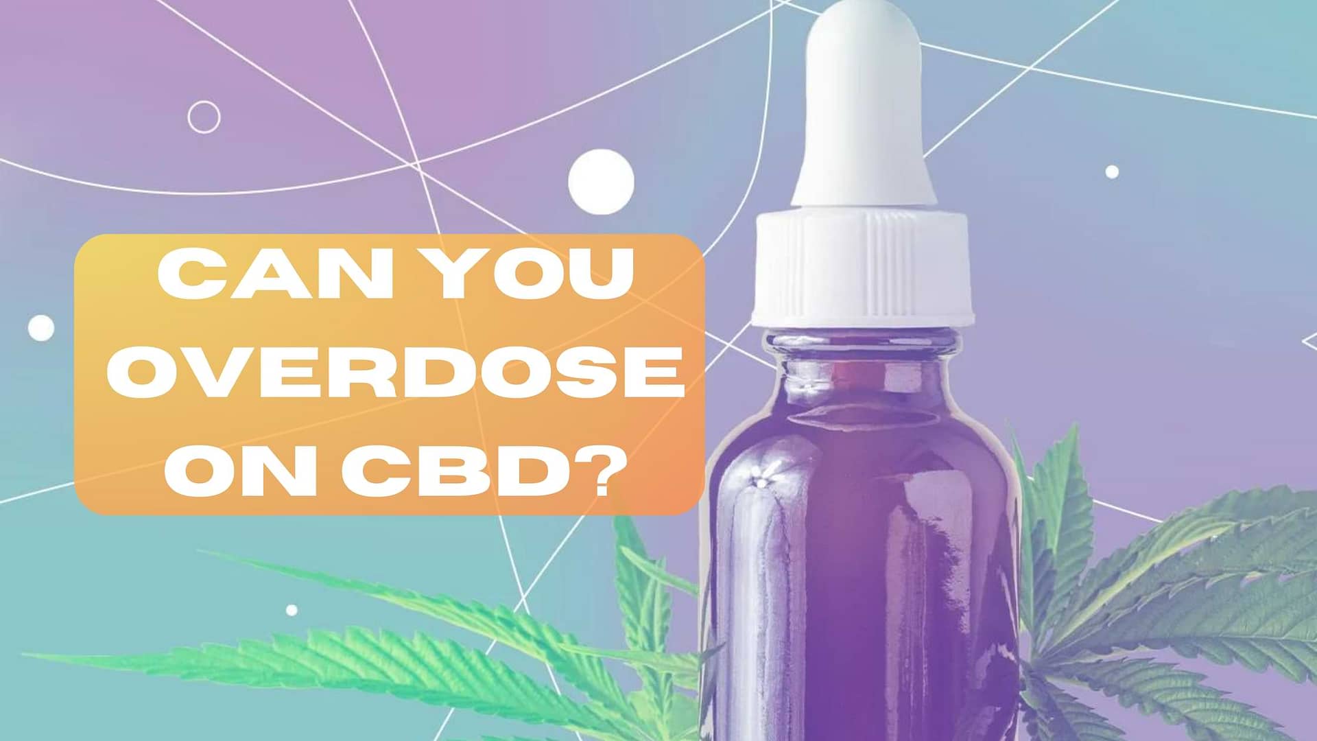 Can you overdose on CBD?