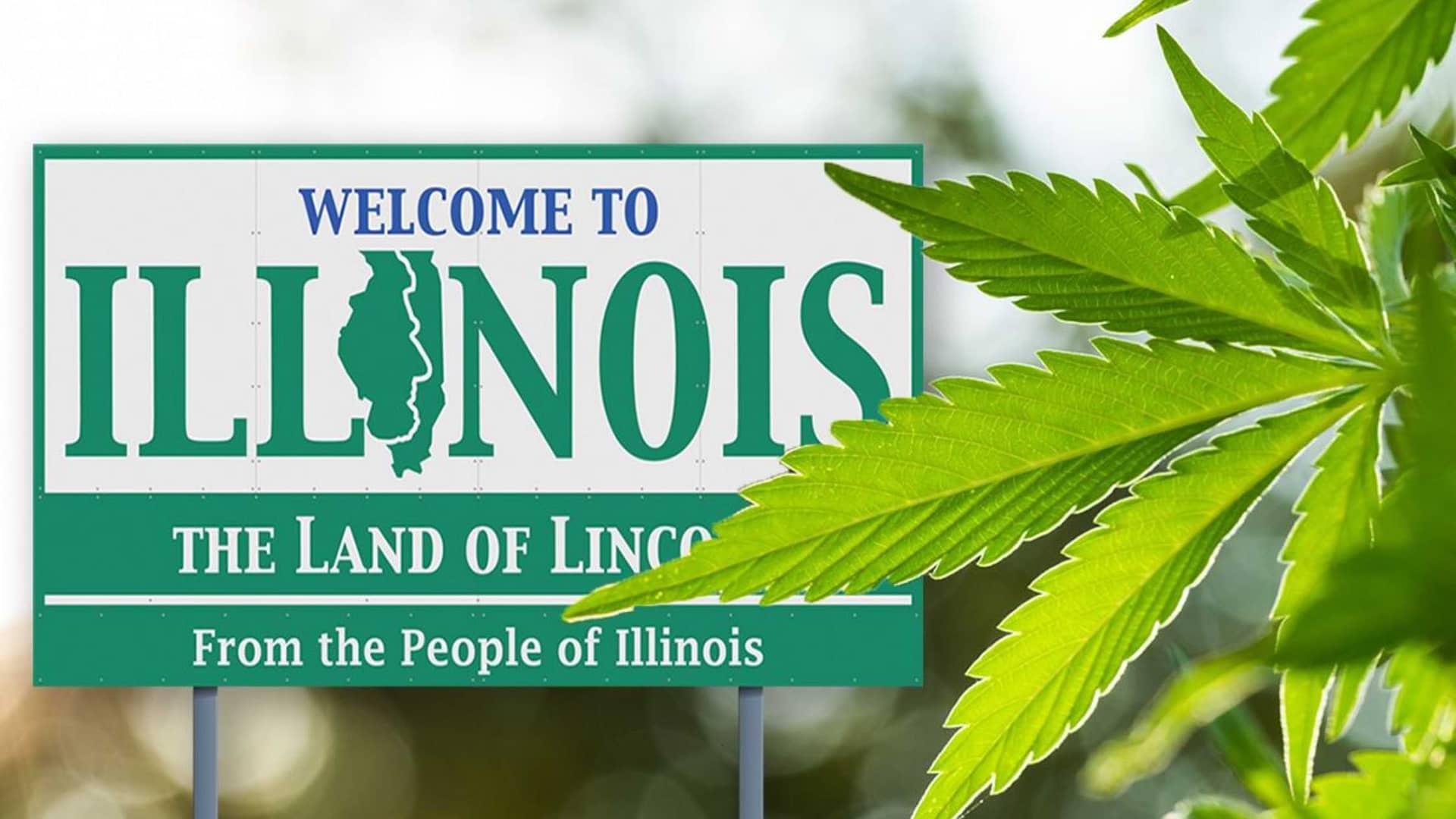 Illinois marijuana laws