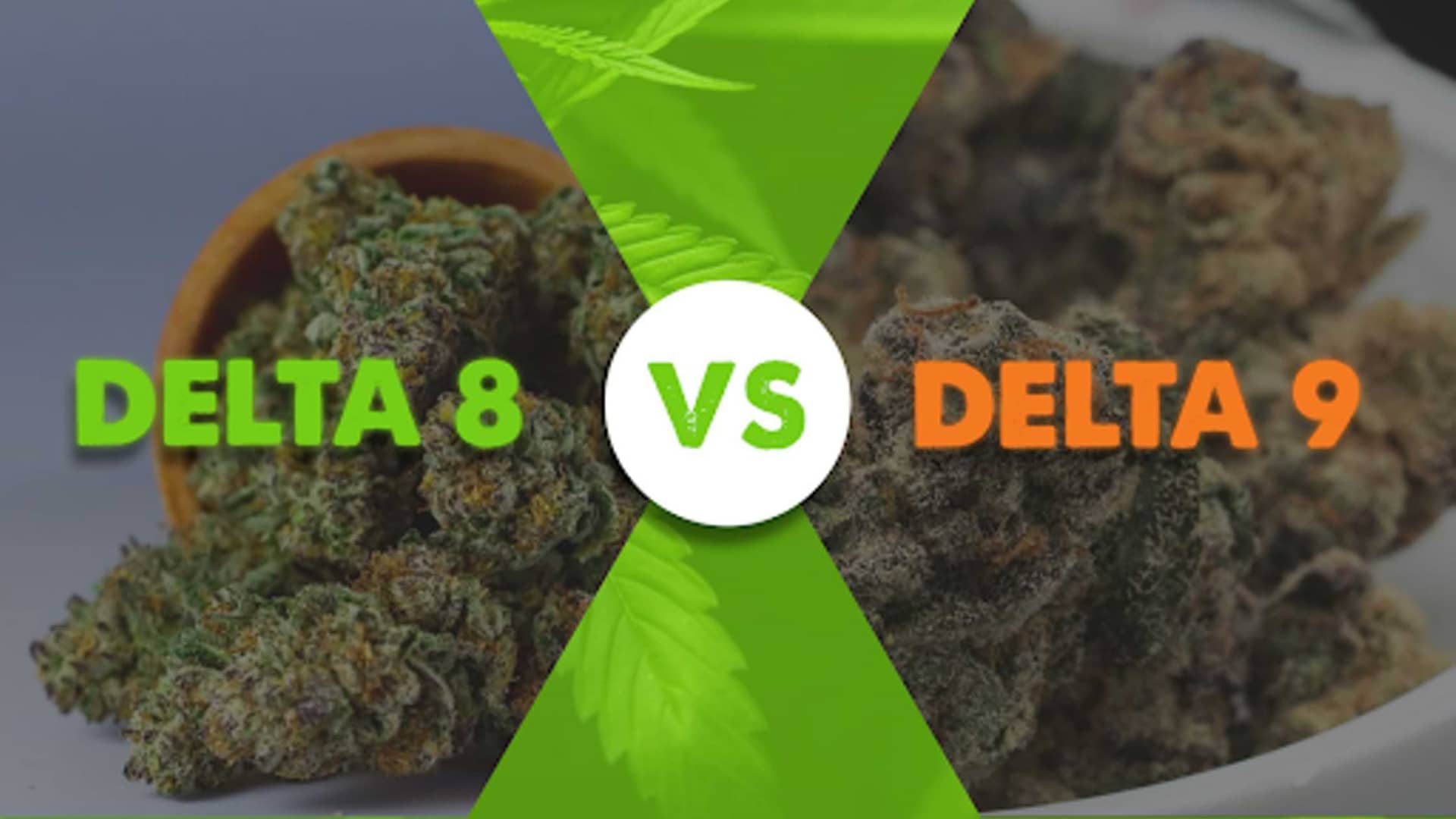 delta 8 vs delta 9 thc