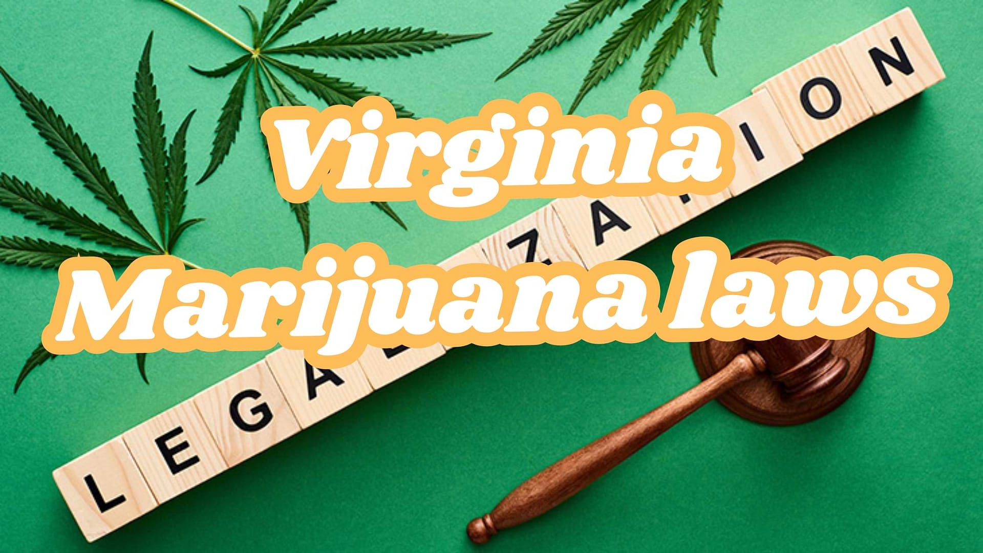 Virginia marijuana laws