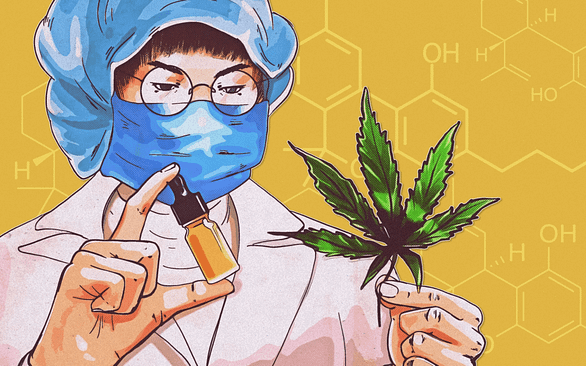 CBD and Drug Tests: What You Need to Know