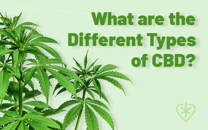 Types of CBD