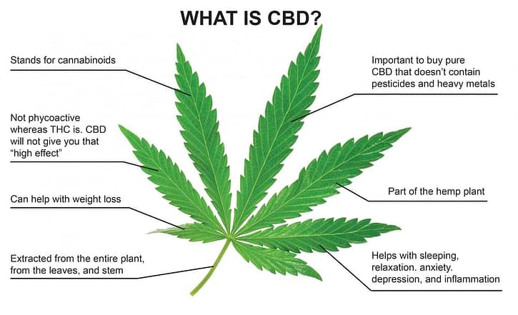 What is CBD?