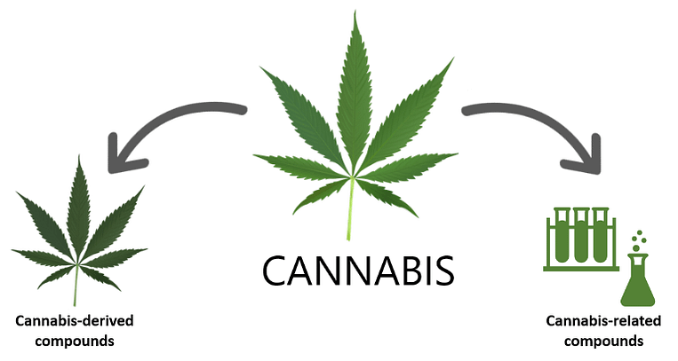 Unveiling the Scientific Basis of Cannabidiol