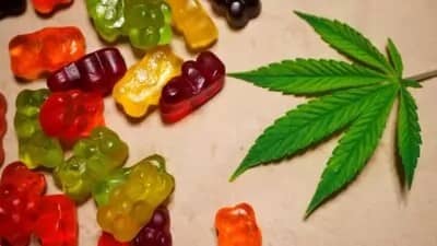 What Are CBD Gummies?