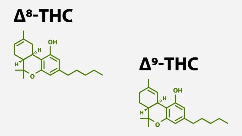 Chemical Structure and Composition of Delta 8 vs Delta 9 THC