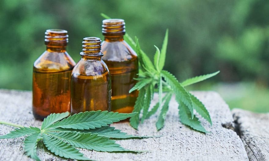 Fundamentals of CBD and Metabolism