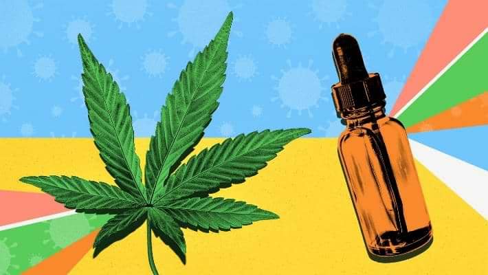 What is CBD?