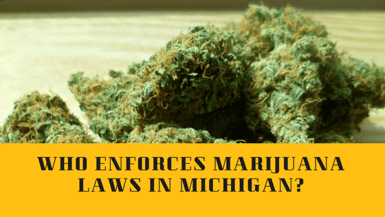 Historical Background OF Michigan Marijuana Laws