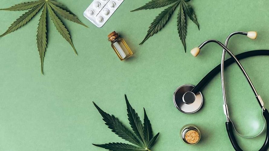 What is CBD and its Mechanisms?