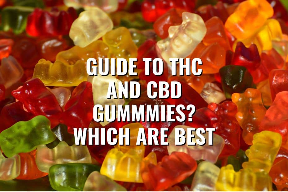 The Ultimate Guide to THC and CBD Gummies: Benefits and Differences