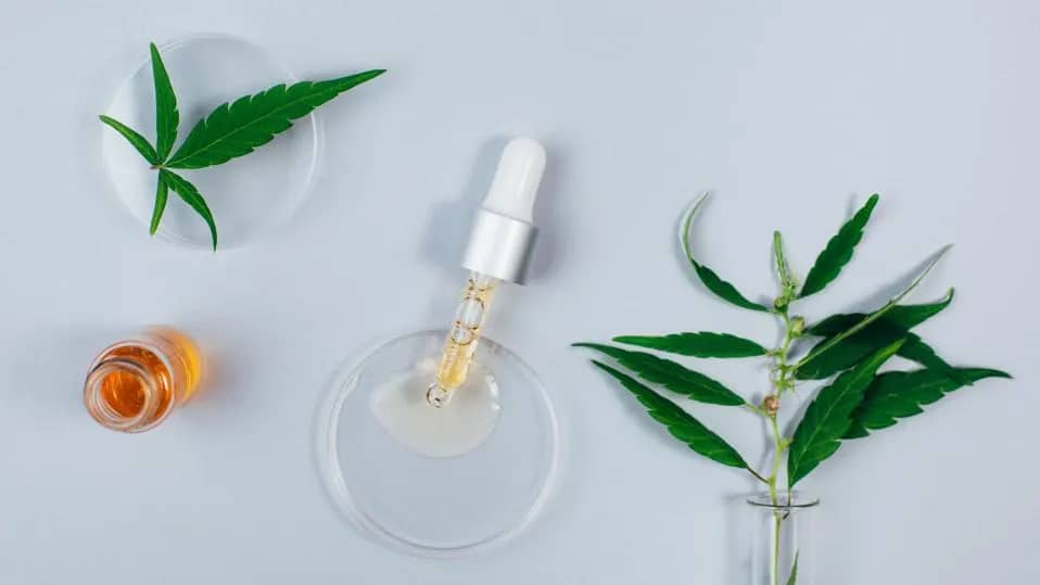 What is CBD?