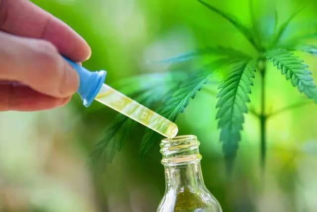 What is CBD and Its Mechanism ?