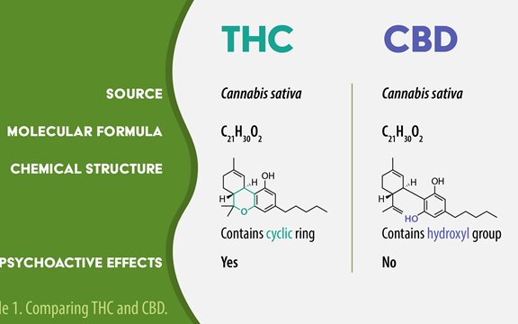 CBD and THC