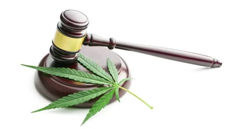 Legal Status of CBD