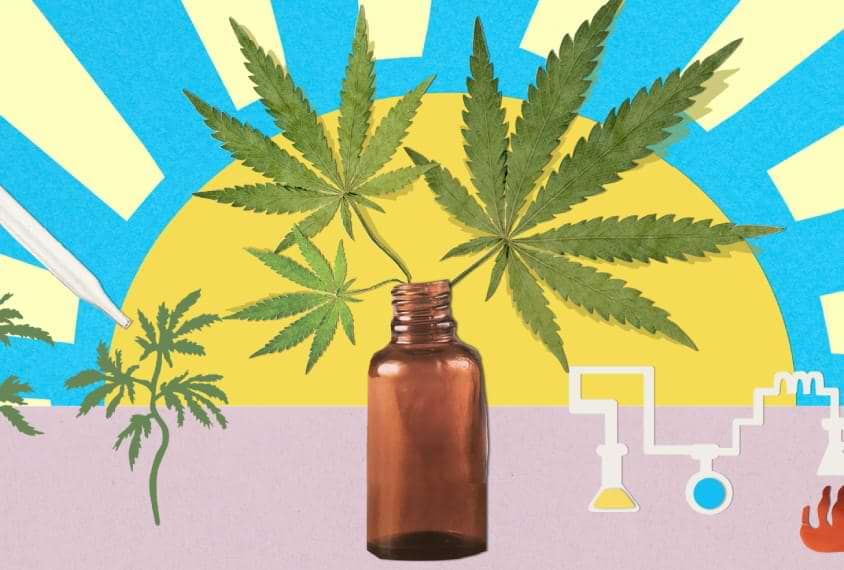 The Science Behind CBD and Autism