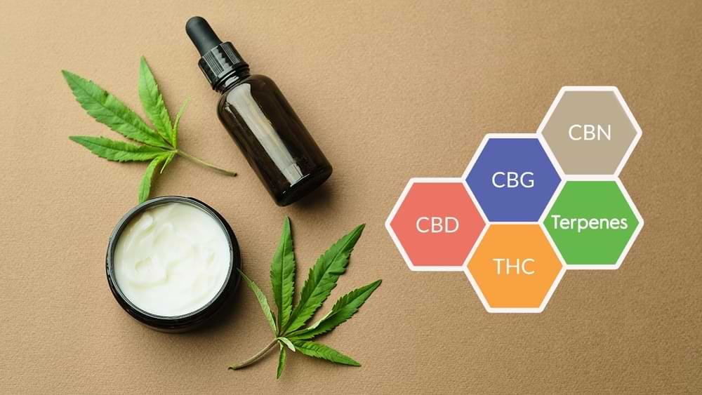 What is CBD Spectrum?