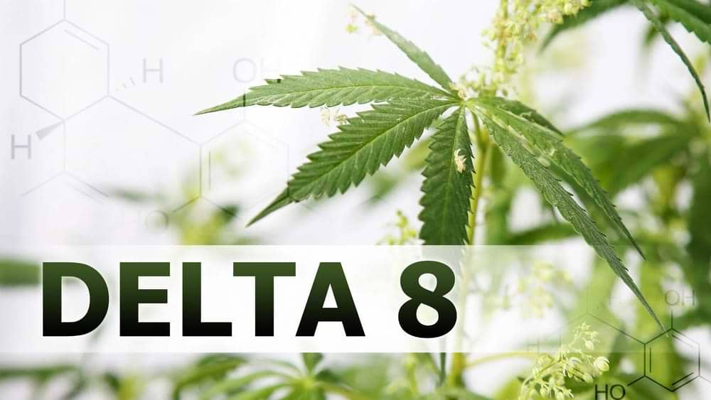 What is Delta 8 THC?