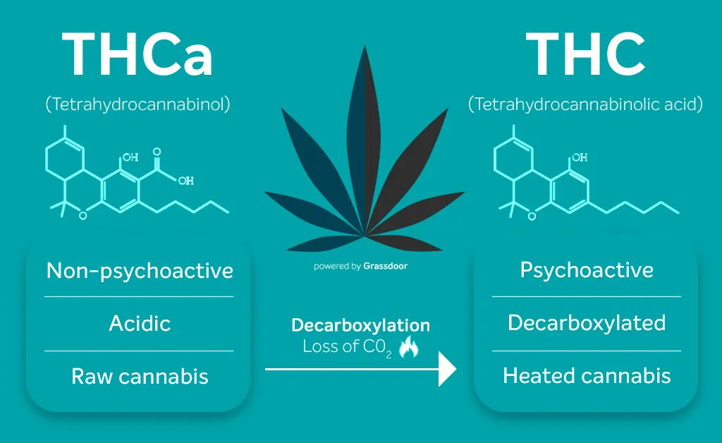 Differences Between THCO and THC