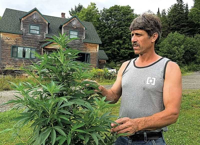 Cannabis Industry in Vermont