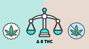 Recent Developments and Amendments for  delta 8 THC