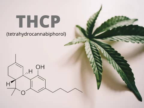 Types of THCP Products