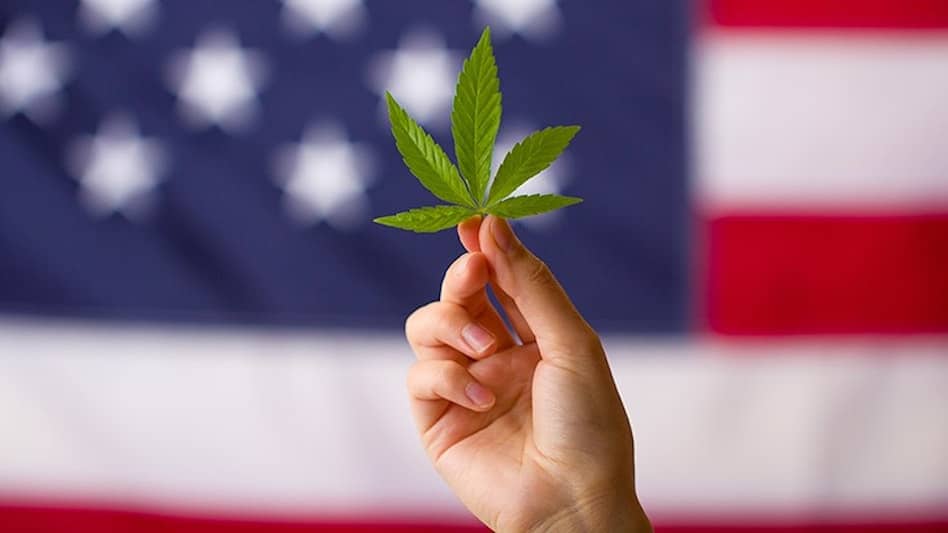 Understanding Maine Marijuana Laws: A Complex Landscape